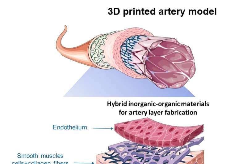 Using 4D technology to produce cardiac pulses in arteries in vitro 