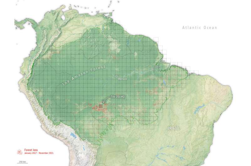 Using a data cube to monitor forest loss in the Amazon