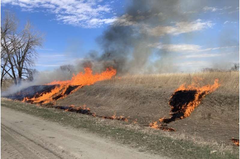 Using fire to revive a fragmented prairie landscape