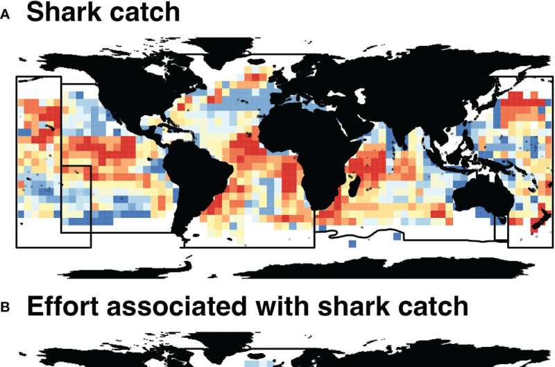 Using machine learning to map where sharks face the most risk from longline fishing