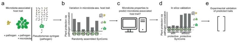 Using machine learning to identify microbiota patterns important for plant protection 