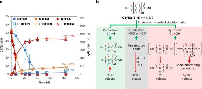 Using microbial degradation to break down chlorinated PFAS in wastewater