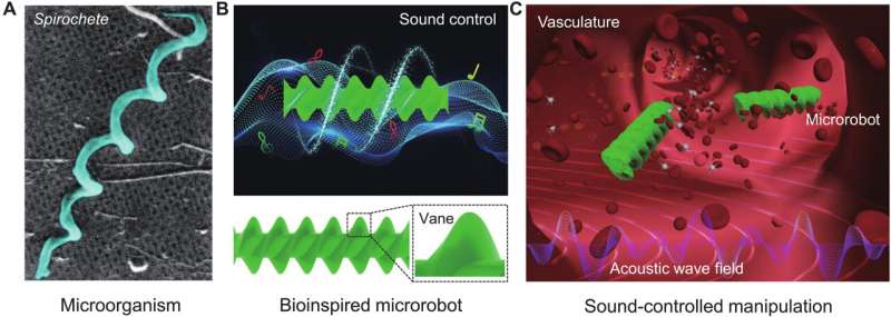 Using sound waves to propel a microrobot through narrow tubes