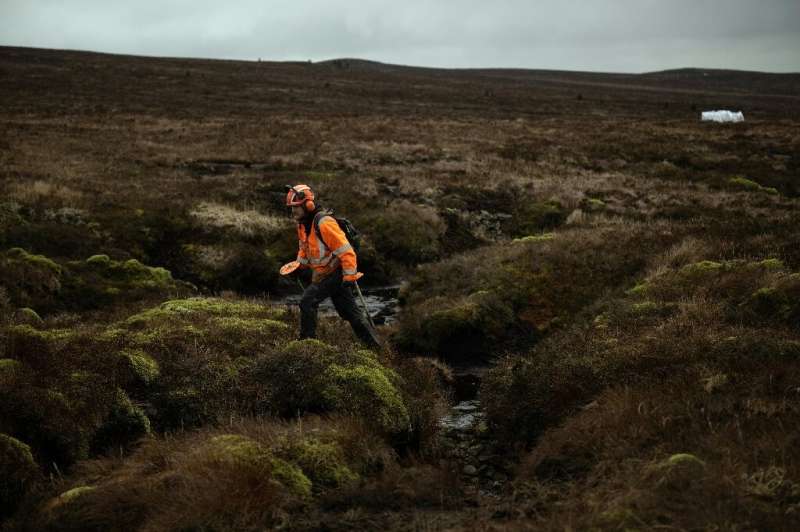 Using transplanted heather, workers undertake the gruelling task wherever gaps exist on the vast terrain