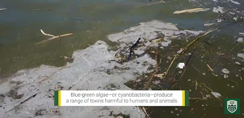 Video: Student engineers develop early warning system for blue-green algae