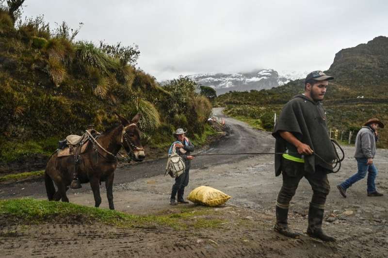 Villagers in Murillo, in the foothills of the Nevado del Ruiz volcano, go about their daily business despite the constant threat