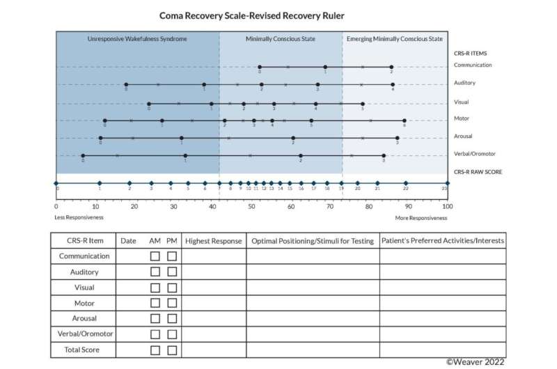 Visualized coma recovery gauge aims to help families of patients advocate, researcher reports
