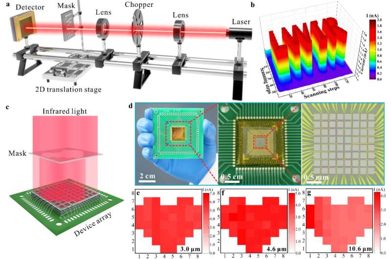 Wafer-scale 2D MoTe₂ layers enable highly-sensitive broadband integrated infrared detector