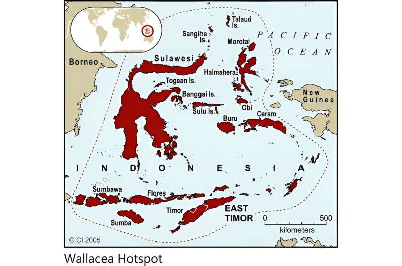 Wallacea es un laboratorio viviente de la evolución de la Tierra, y su vida silvestre, bosques y arrecifes serán devastados a menos que todos actuemos.