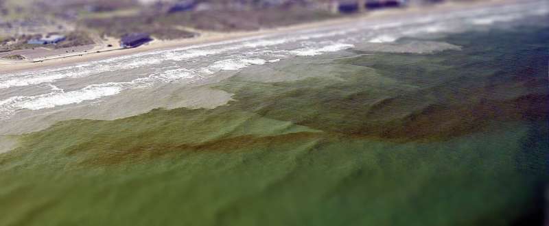 Was Florida red tide made worse by Hurricane Ian? Here’s what we know