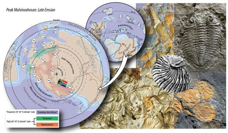 Waves of change: how sea-levels and climate altered the marine ecosystems at the South Pole 390-385 million years ago