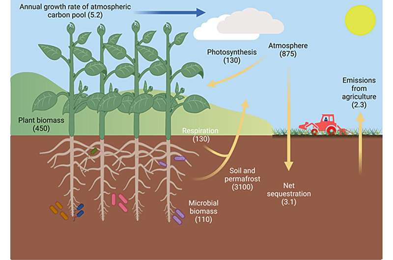 We could sequester CO2 by “re-greening” arid lands, plant scientists say