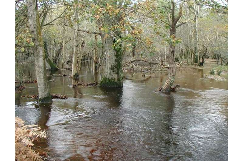 We have forgotten what a 'natural' river even looks like