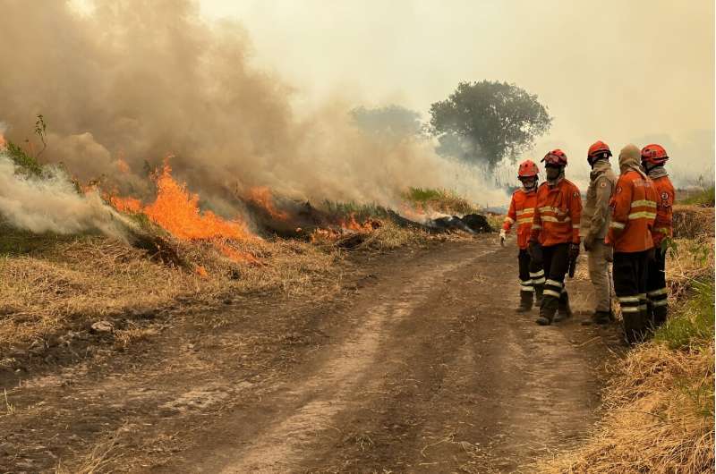 Weeks of wildfires have devastated the Pantanal, the world's largest tropical wetlands