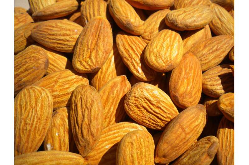 Weight loss? 'Nuting' to worry about with almonds