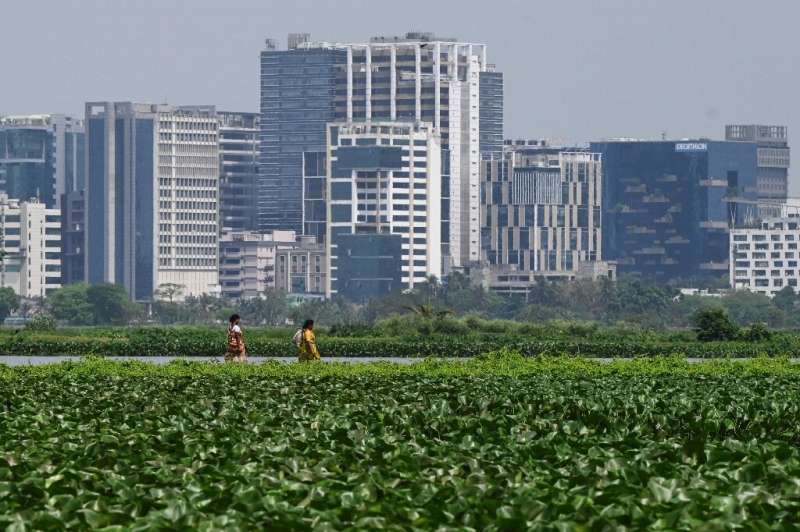Wetlands outside Kolkata process the city's sewage and are important for agriculture, but experts say they are at risk