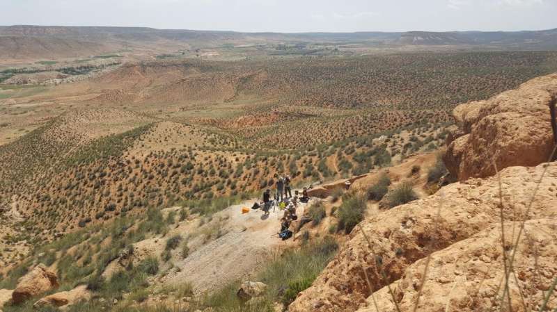 Wetlands persisted in Northern Morocco until around a half-million years ago, suggests study 