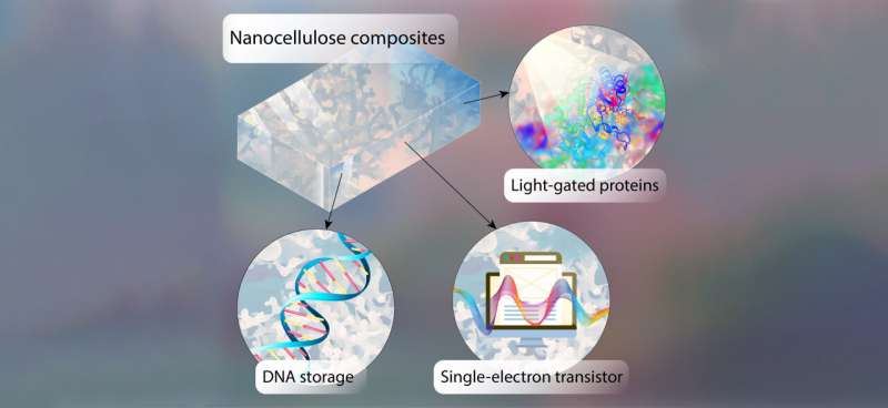 What challenges need to be overcome to make DNA chips more applicable as storage media
