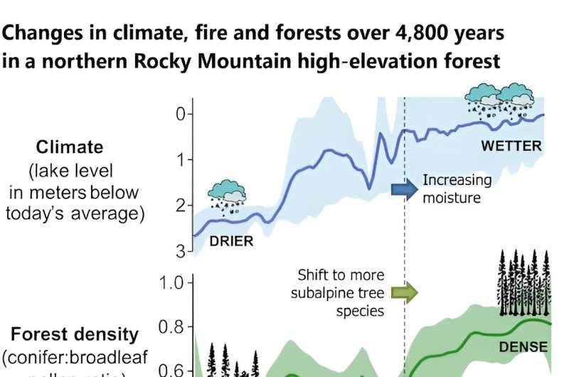 What extreme fire seasons—and 2,500 years of forest history—tell us about the future of wildfires in the West