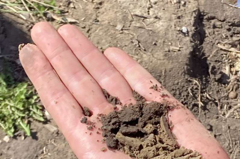 What listening to the soil can tell us about our relationship with the land