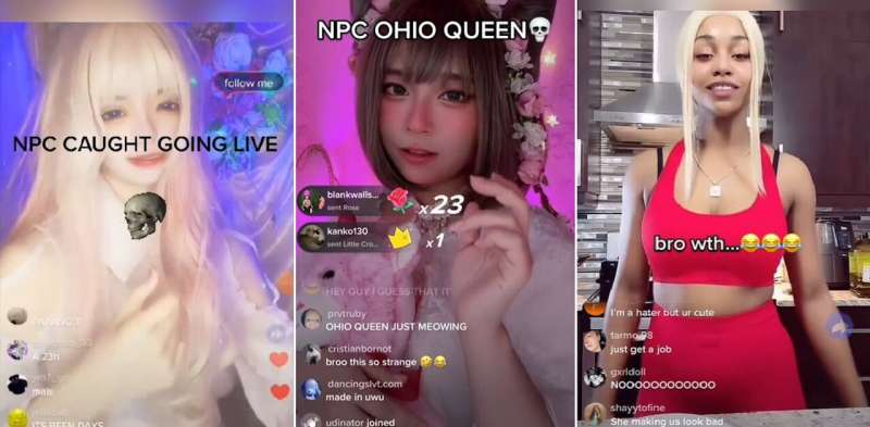 What the 'NPC streaming' TikTok trend spells for the future of gaming and erotic work