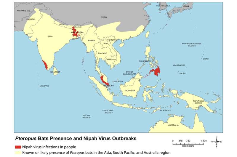 What you need to know about Nipah virus