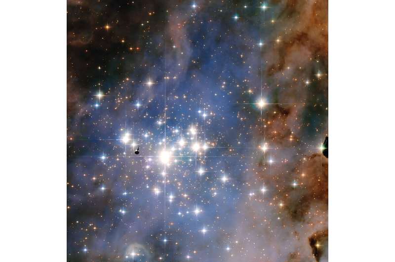 What's inside the carina pillars? Massive protostars and newly-forming planets