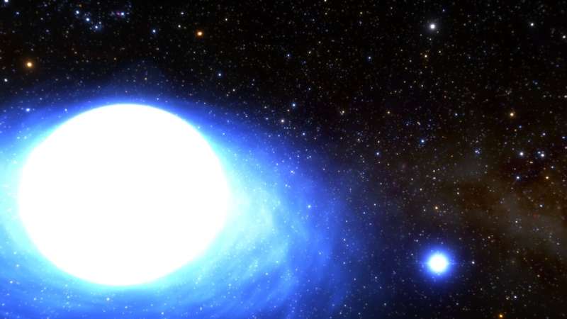 When your supernova's a dud: Rare binary star features weirdly round orbit, Embry-Riddle researchers report