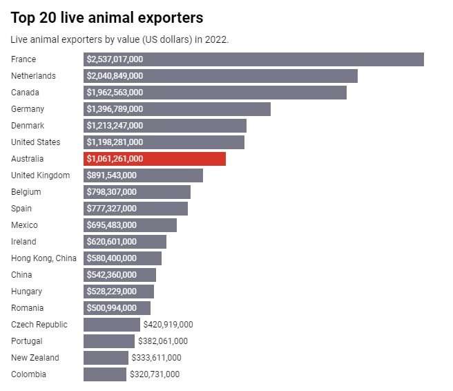Why Australia banning live animal exports may be a net loss for animal welfare