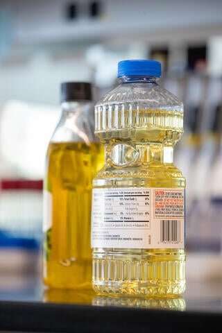 Widely consumed vegetable oil leads to an unhealthy gut