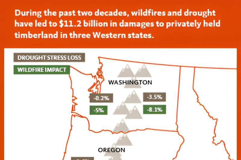 Wildfire, drought cause $11.2 billion in damage to private timberland in three Pacific states, study finds