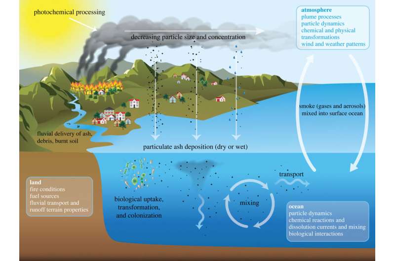 Wildfire plumes deposit ash on seawater, fueling growth of phytoplankton