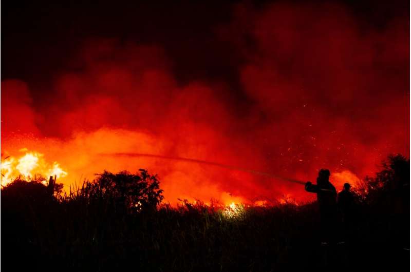 Wildfires have ravaged areas in countries from Greece to Indonesia this year