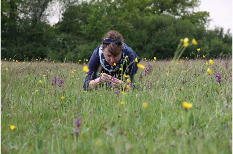 Wildlife recording is good for people, as well as for science