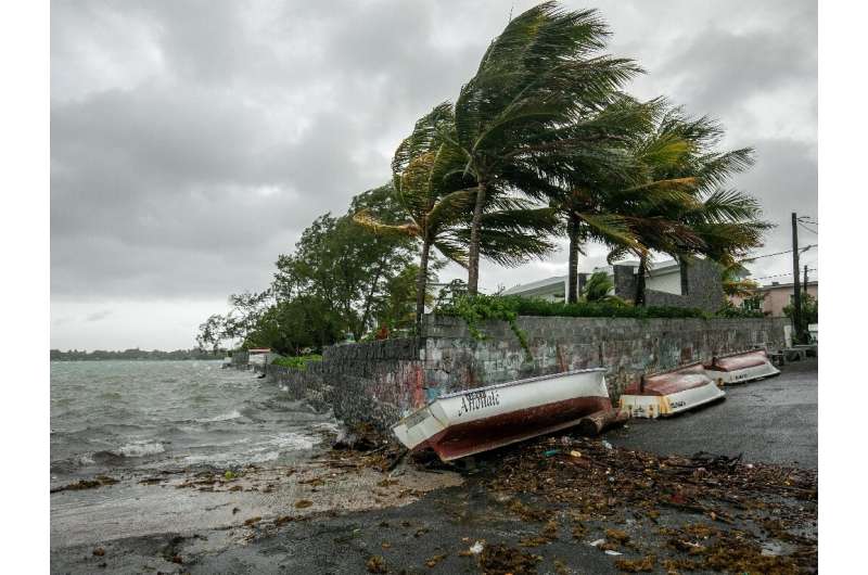 Winds whip through palm trees in the fishing village of Mahebourg in Mauritius