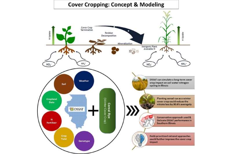 Winter cover crops could reduce nitrogen in Illinois drainage water by 30% 