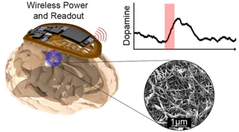 Wireless brain implant monitors neurotransmitters in real-time