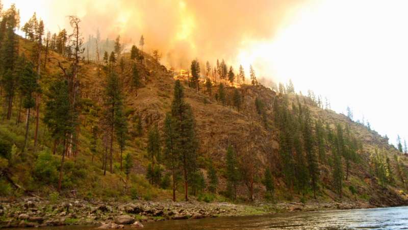 Without aggressive climate action, U.S. property values will take a hit from escalating wildfire risk and tree mortality, study