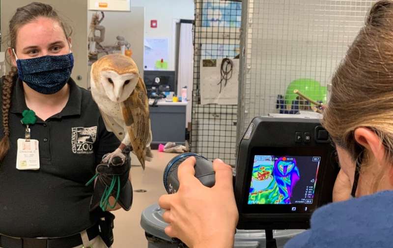 Woods Hole Oceanographic Institution researchers partner with zoological facilities to find new ways to study heart rate, respir
