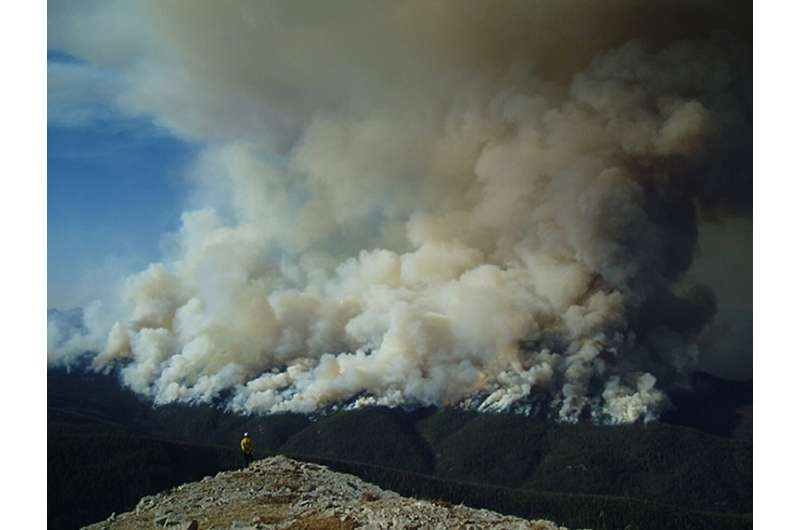 Workshop synthesis paper describes value of prescribed fire in wilderness areas