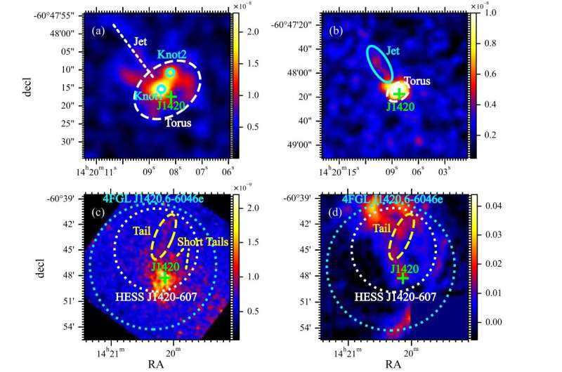 X-ray observations investigate radio pulsar PSR J1420−6048 and its nebula