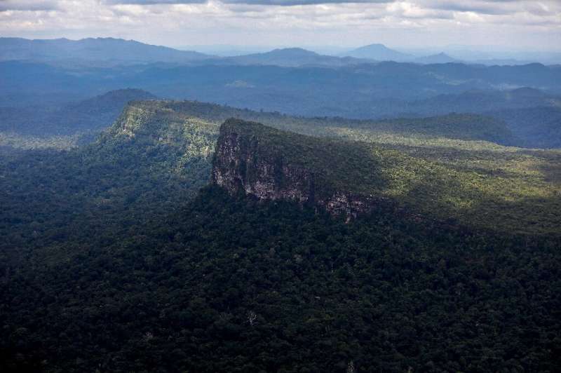 Yanomami Indigenous territory of the Amazon rainforest is seen in the Brazilian state of Roraima in February 2023