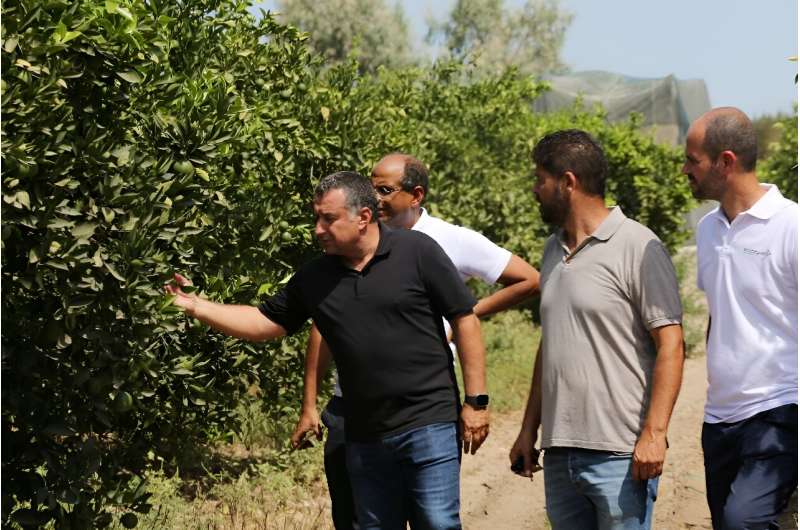 Yassine Gargouri (L), a farmer who hired the RoboCare startup company, checks his citrus trees in the region of Nabeul, Tunisia
