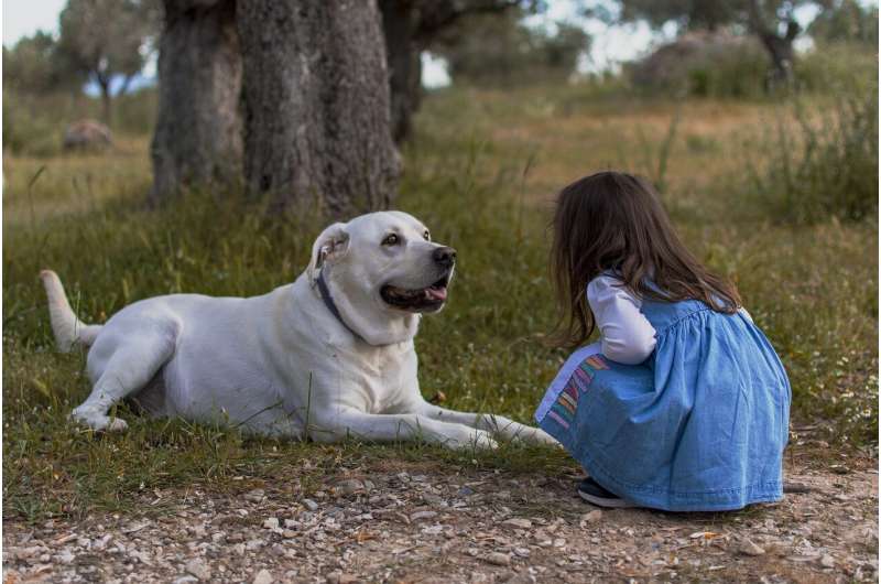 Young kids may learn to identify dog aggression with age and experience