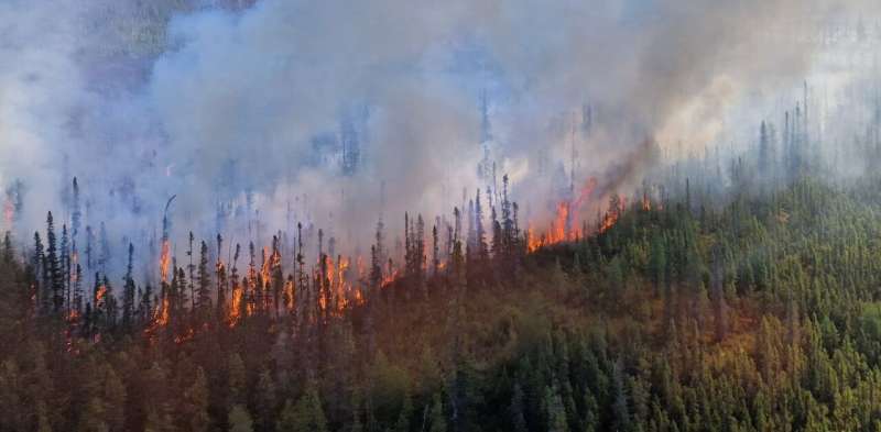 'Zombie fires' are occurring more frequently in boreal forests, but their impacts remain uncertain