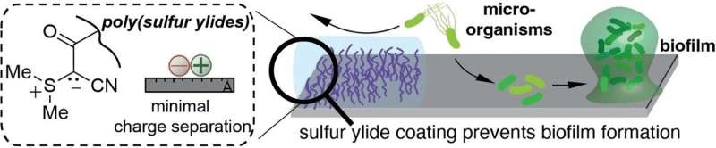 Zwitterionic polymeric sulfur ylides: antifouling coating with a synergistic effect