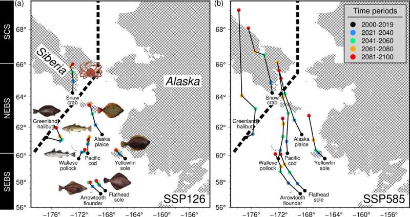  Climate change may lead to shifts in vital Pacific Arctic fisheries