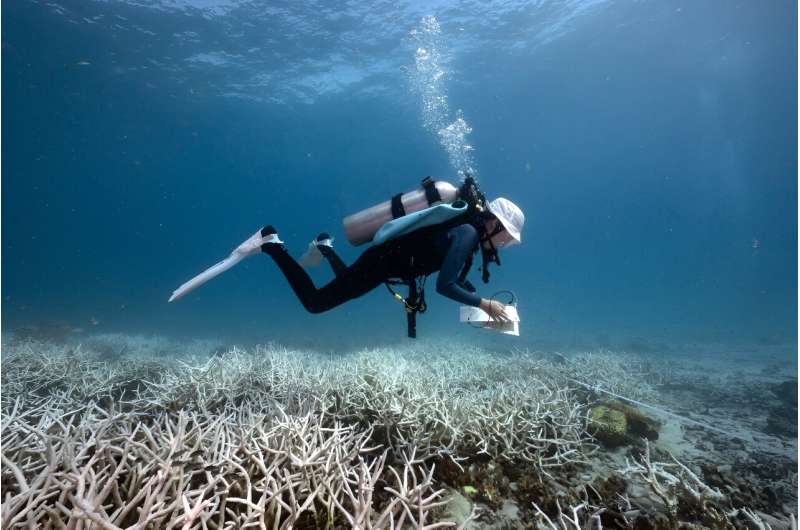 14-year-old Nannalin &quot;Fleur&quot; Pornprasertsom surveys bleached corals during her coral conservation and citizen science course at Black Turtle Dive around Koh Tao island in Thailand