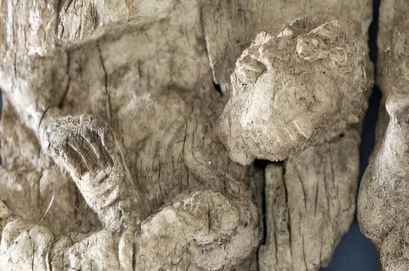 Un reliquaire vieux de 1 500 ans découvert