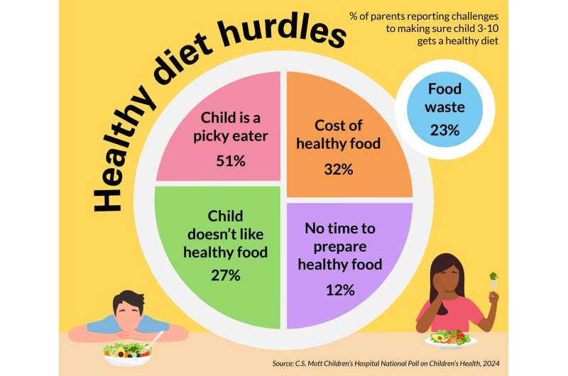 3 em cada 5 pais brincam de cozinheiro para crianças pequenas que não gostam de refeições em família